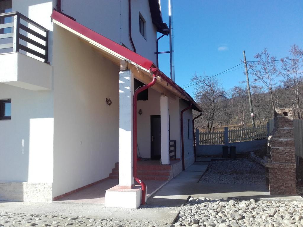 Pensiunea Drumul Voievozilor Arefu Exterior foto