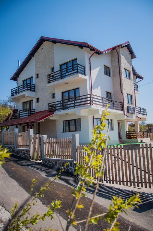 Pensiunea Drumul Voievozilor Arefu Exterior foto